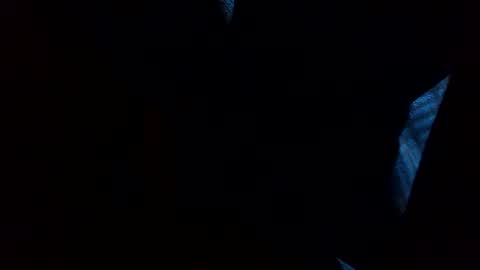 thisdixforyou online show from 31, 12, 2024