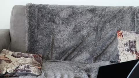 Sebastian online show from 8, 1, 2025