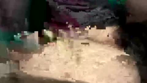 thunderbird2696 online show from 12, 4, 2026