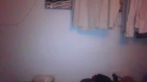 tiddles12345 online show from 16, 3, 2026