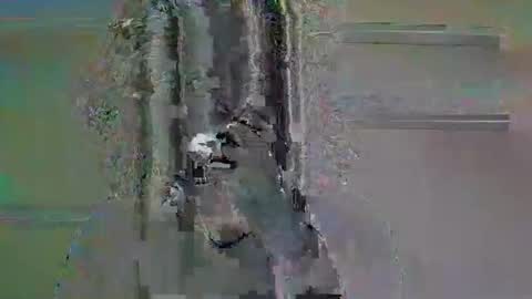 tifa_lockheart online show from 11, 4, 2026