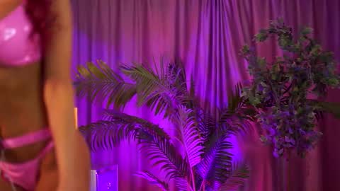 Tiff online show from 7, 11, 2025