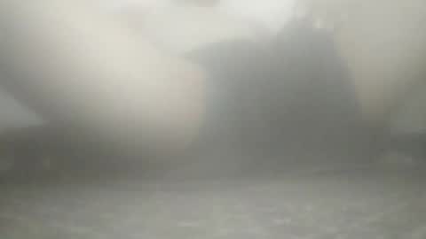 Snapshot of tiger005588 chatting on 21, 11, 2025 tiger005588 online show from 21, 11, 2025