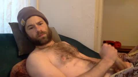 tigerzaddy online show from 9, 12, 2024