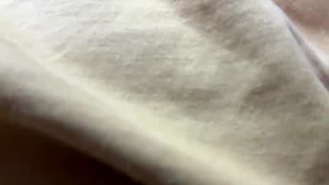 Snapshot of timber2255 chatting on 31, 10, 2025 timber2255 online show from 31, 10, 2025