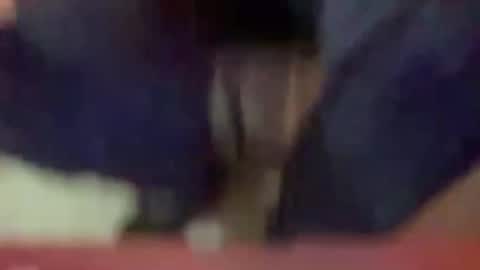 Snapshot of timplaw chatting on 3, 1, 2025 Timplaw online show from 3, 1, 2025