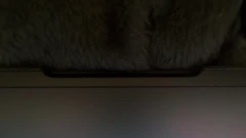 Snapshot of timplaw chatting on 11, 2, 2025 Timplaw online show from 11, 2, 2025