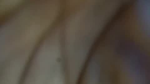 tinagiant online show from 11, 1, 2026