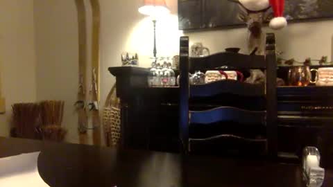 tinyandtatted420 online show from 18, 12, 2025