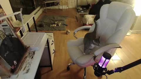 stage Kylie Sinner  brand CLITBAIT online show from 30, 1, 2025