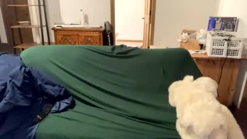 tjfemboi5641 online show from 20, 10, 2025