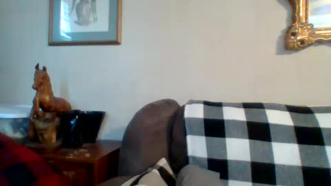 Vols online show from 2, 3, 2025