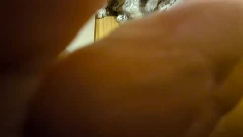 Toady online show from 8, 12, 2024