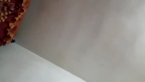 tobe557337 online show from 31, 1, 2025