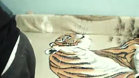 Tomek online show from 31, 12, 2024