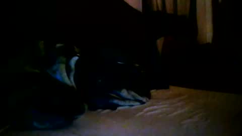 tommy mackz online show from 2, 3, 2026