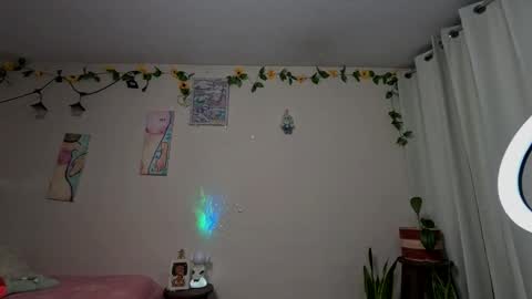 leyla  online show from 24, 2, 2026