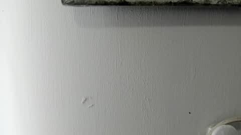 Snapshot of ton_amourrx chatting on 6, 1, 2025 lady blue online show from 6, 1, 2025