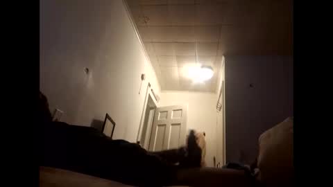 tonetanight online show from 7, 2, 2026