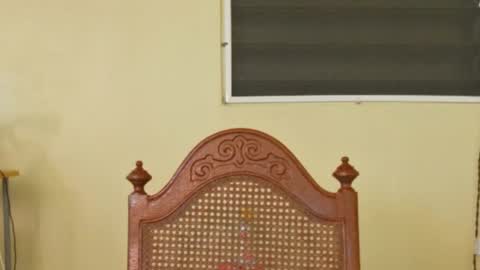 Antonio online show from 9, 10, 2025