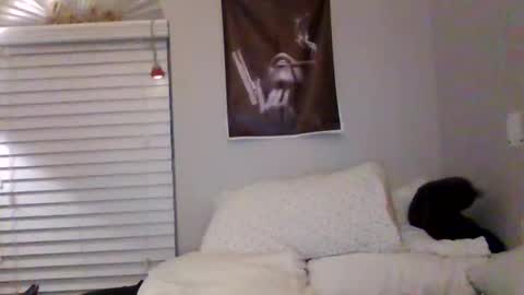 Honeys Snow Bunny online show from 19, 3, 2026