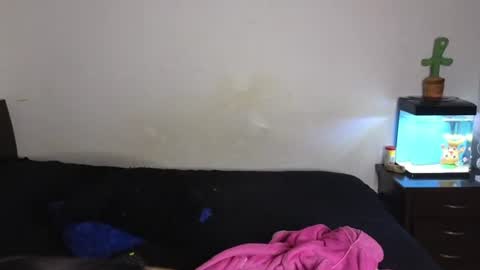 Snapshot of tony_and_sophia chatting on 7, 7, 2026 Sophia Tony online show from 7, 7, 2026