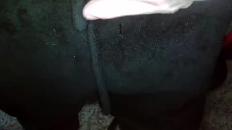 Snapshot of topg84 chatting on 15, 12, 2024 Topg84 online show from 15, 12, 2024