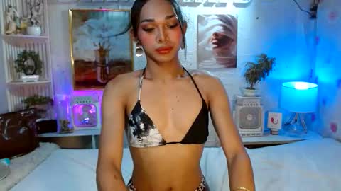 toptrans venice online show from 25, 5, 2026