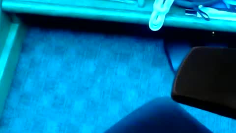 tornne online show from 2, 2, 2025