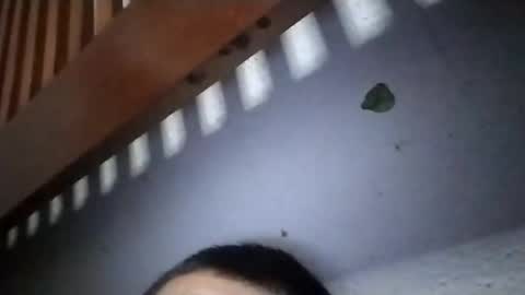 torresabel762 online show from 19, 4, 2026