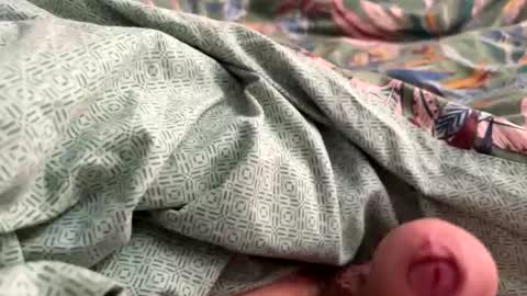 Snapshot of tos12345 chatting on 21, 11, 2025 tos12345 online show from 21, 11, 2025