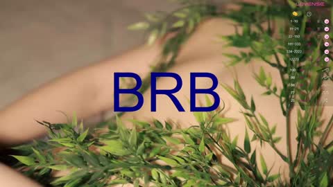 Toshi online show from 31, 1, 2025