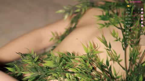 Toshi online show from 5, 3, 2025