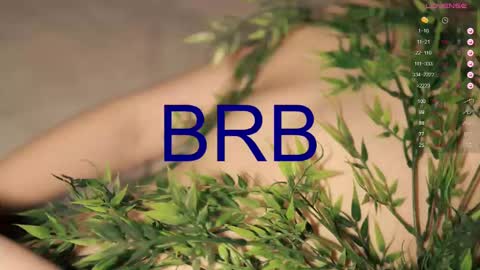 Toshi online show from 5, 3, 2025