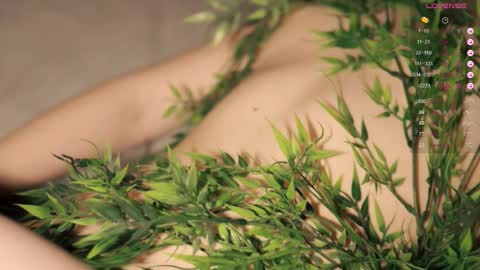 Toshi online show from 17, 9, 2025