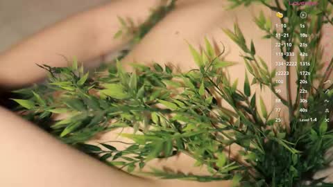 Toshi online show from 17, 12, 2025