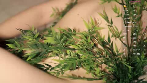 Toshi online show from 12, 3, 2026