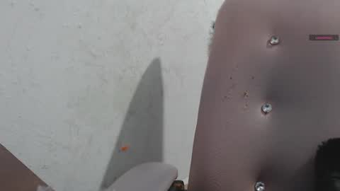 toxca69 online show from 22, 12, 2025