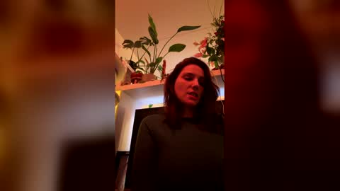 GoToyShop online show from 19, 2, 2026