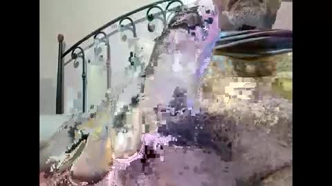 tra649167 online show from 23, 12, 2024