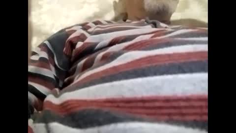 tra649167 online show from 9, 2, 2025