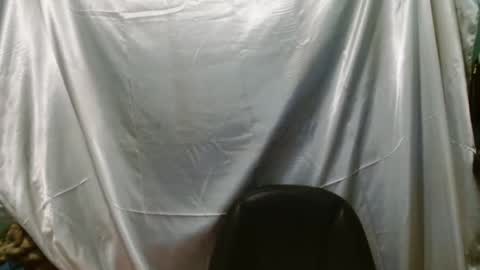 transexdotada online show from 15, 12, 2025