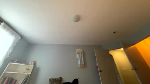 transgirl007 online show from 24, 5, 2026