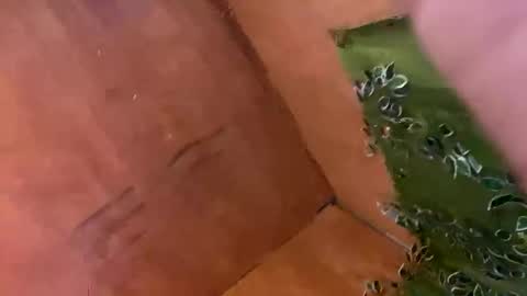 Snapshot of trebz_01 chatting on 17, 11, 2025 trebz_01 online show from 17, 11, 2025