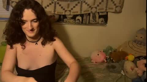 treecups online show from 13, 7, 2026