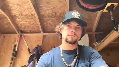 treeman817 online show from 24, 7, 2026