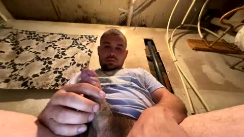 trees559 online show from 17, 3, 2026