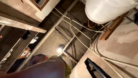 trees559 online show from 19, 3, 2026