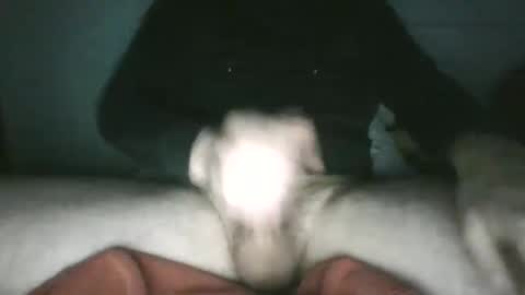 trekkertje666 online show from 25, 1, 2025