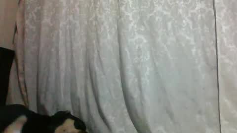 Snapshot of triana_bell chatting on 14, 1, 2025 triana_bell online show from 14, 1, 2025